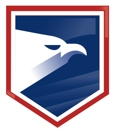 NMT Security logo